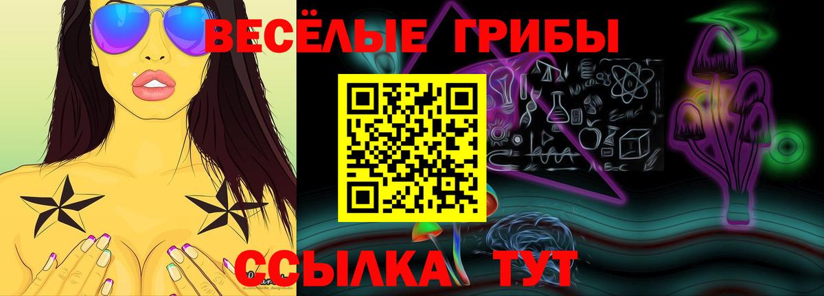Верхняя Салда  Псилоцибиновые грибы Psilocybe  Галлюциногенные грибы ЛСД  Вход с VPN 